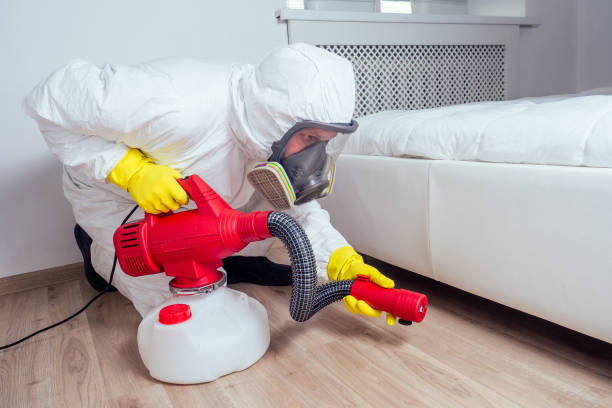 Best Pest Prevention Services  in North Pearsall, TX